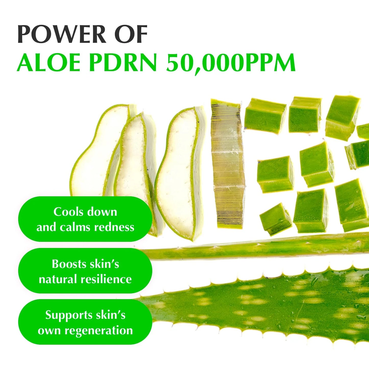 EQQUALBERRY - Aloe PDRN Calming Serum 30ml